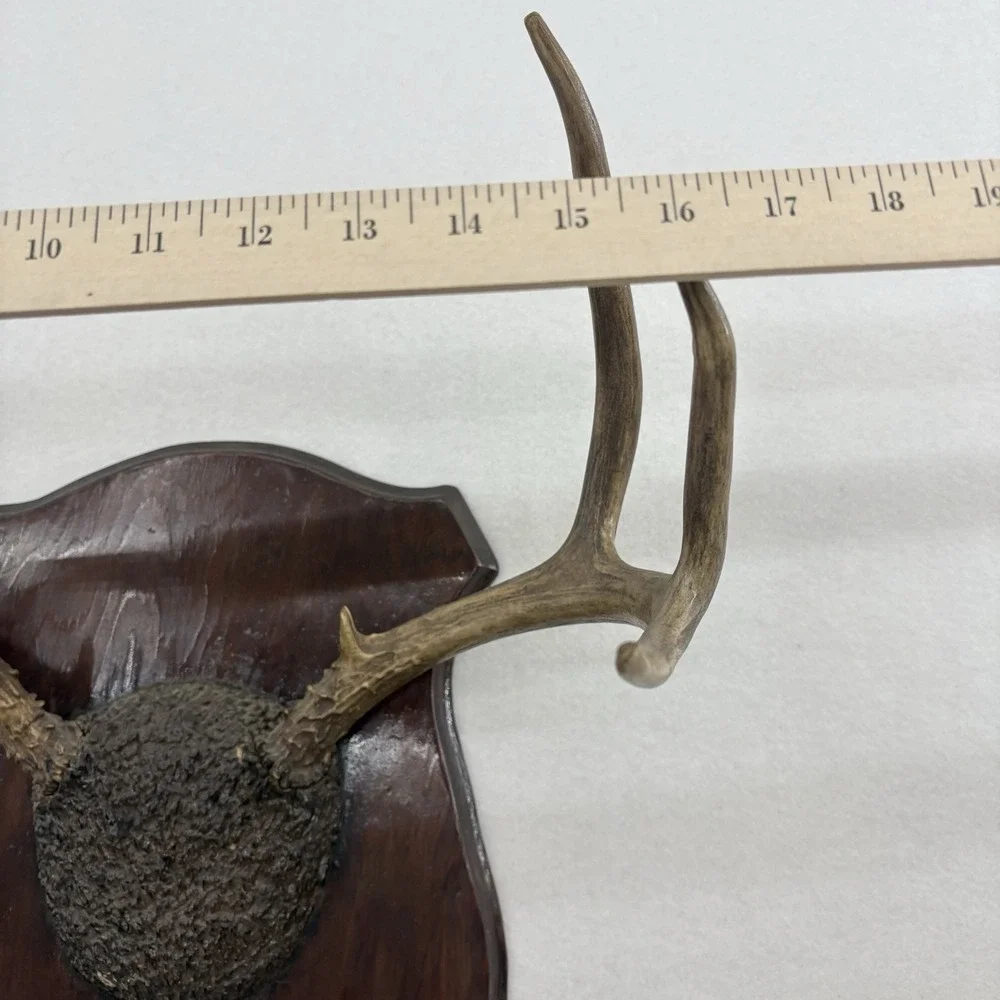N/A rustic deer